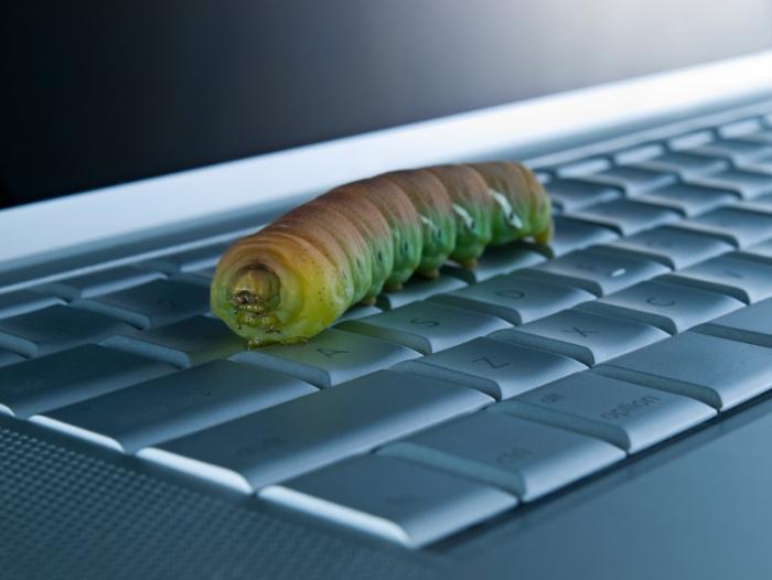 computer worm