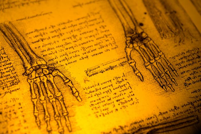 Medieval anatomy manuscript.