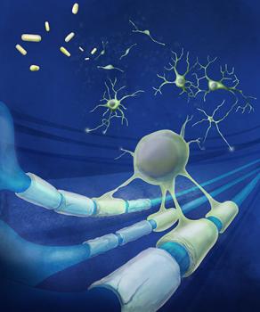 An artist's impression of remyelination with drugs