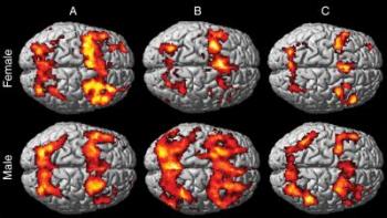 Brain scans of working memory in men and women