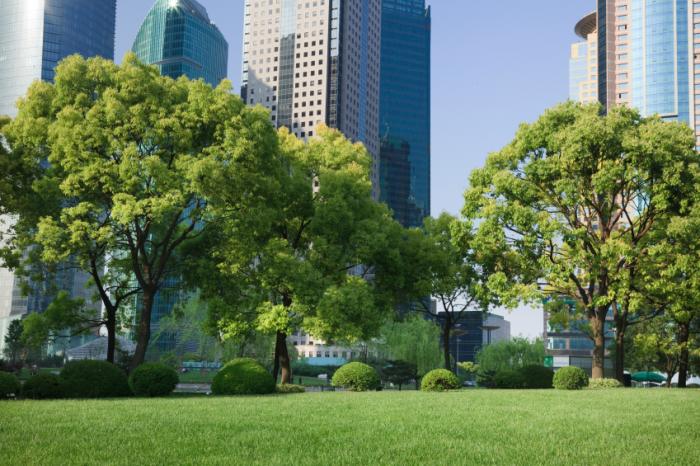 green space 

in cityscape