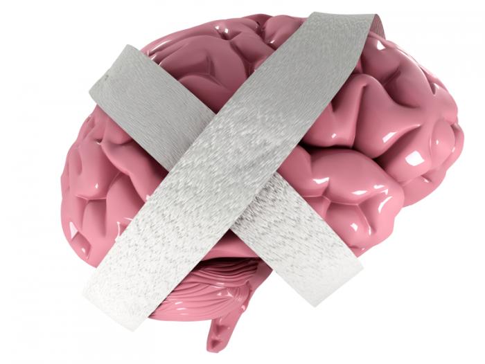 [model of the brain wrapped in bandages]