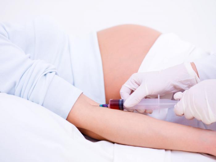 A pregnant woman having a blood test