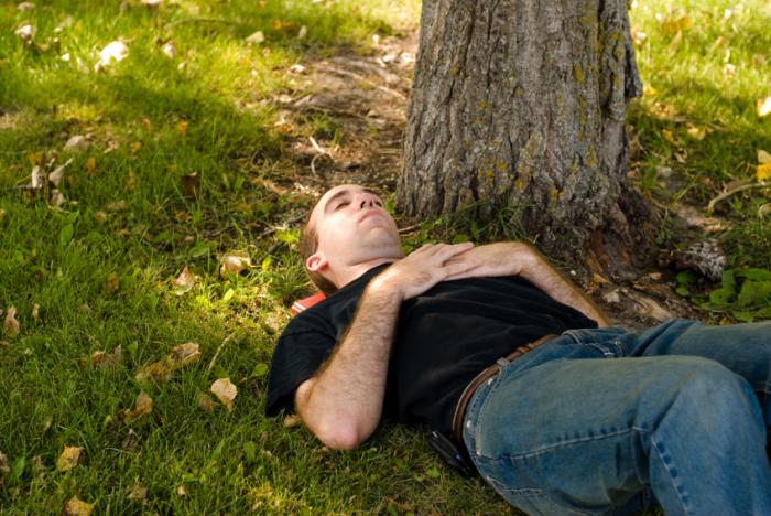 Man sleeping in the shade of a tree.