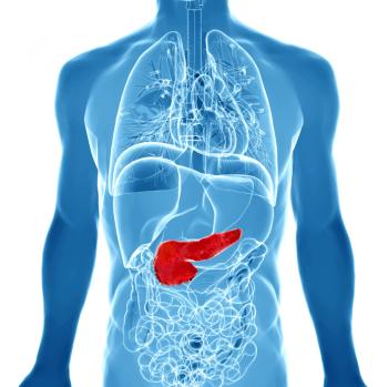 outline of organs with pancreas in solid red