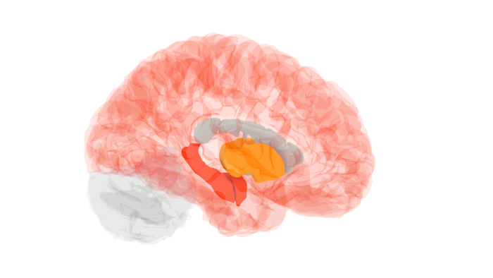 [Brain protein imaging Alzheimer's]