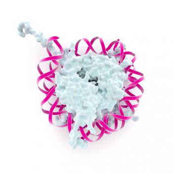 [Nucleosome diagram pink]