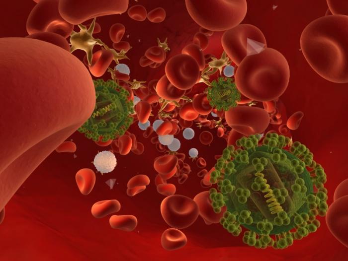 HIV and blood cells