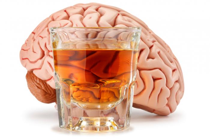 [An alcoholic drink in front of a human brain]