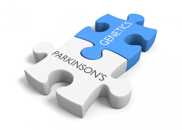 Parkinson's and genetics jigsaw puzzle pieces.