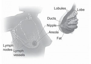 Lipofilling safe for breast reconstruction