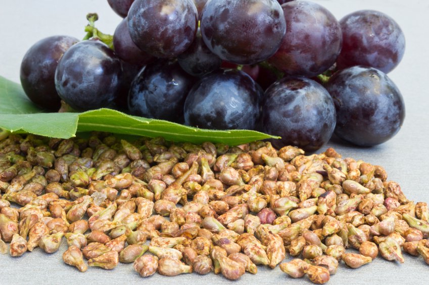 French Grape Seed Extract
