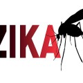 5 Local Zika Cases Reported In Florida