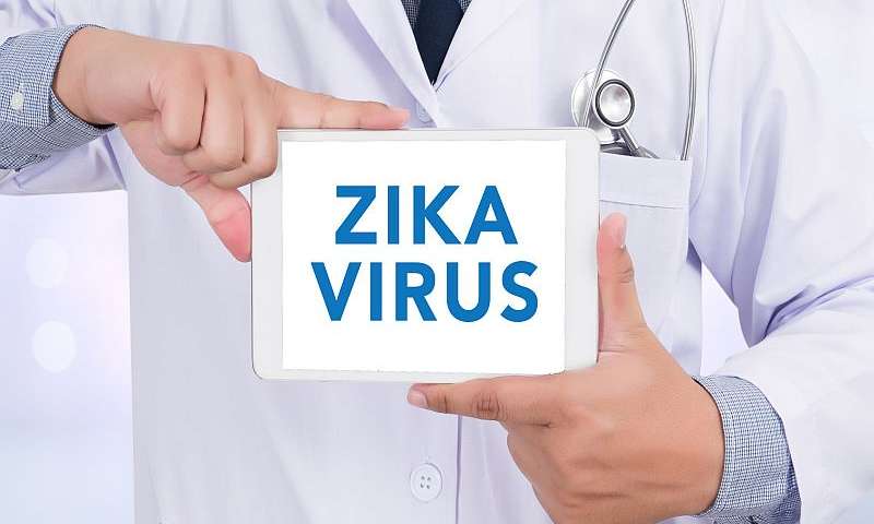 Dna-based Vaccines Against Zika In The Monkey Studies